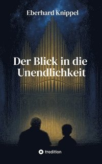 bokomslag Blick in die Unendlichkeit