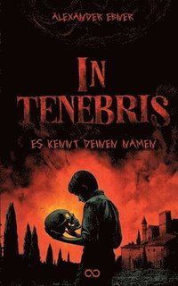 bokomslag In Tenebris