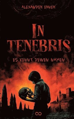 bokomslag In Tenebris