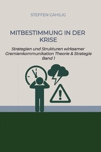 bokomslag Mitbestimmung in der Krise