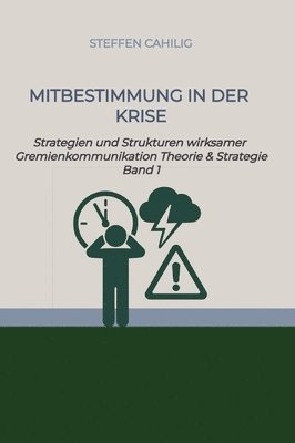 bokomslag Mitbestimmung in der Krise