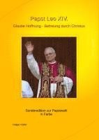 bokomslag Papst Leo XIV.