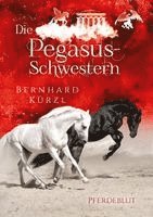 bokomslag Die Pegasus-Schwestern: Pferdeblut