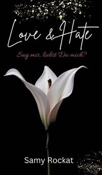 bokomslag Love & Hate