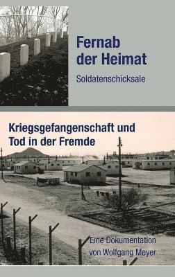 bokomslag Fernab der Heimat Soldatenschicksale
