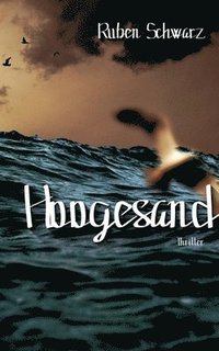 bokomslag Hoogesand