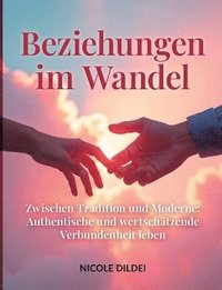 bokomslag Beziehungen Im Wandel