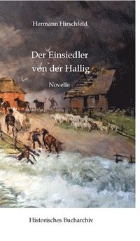bokomslag Einsiedler von der Hallig