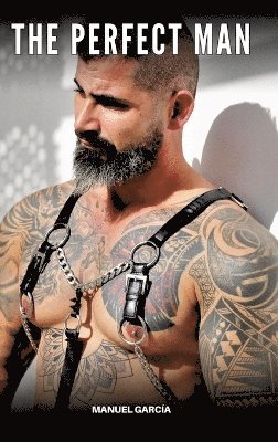 bokomslag Perfect Man