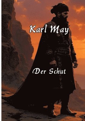 bokomslag Schut