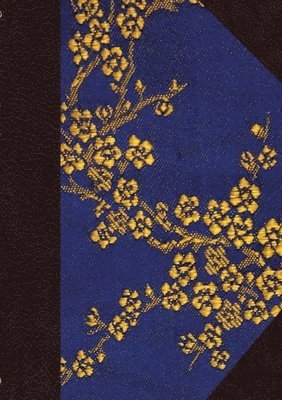 Shachar Haddad, Elohically World - Tel Aviv Diary Student, Häftad