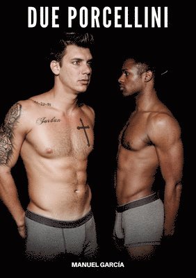 Due Porcellini: Racconti Erotici Gay Espliciti in Italiano per Adulti 1