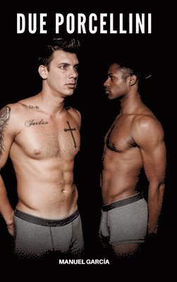 Due Porcellini: Racconti Erotici Gay Espliciti in Italiano per Adulti 1
