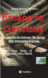 bokomslag Escape to Germany