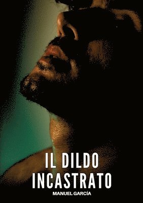 Il Dildo Incastrato: Racconti Erotici Gay Espliciti in Italiano per Adulti 1