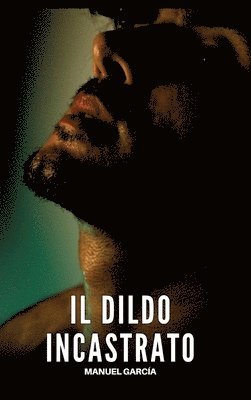 Il Dildo Incastrato: Racconti Erotici Gay Espliciti in Italiano per Adulti 1