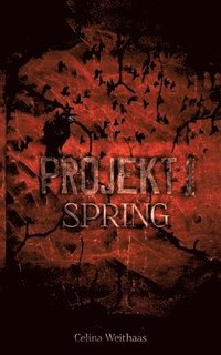 bokomslag Spring - Projekt I