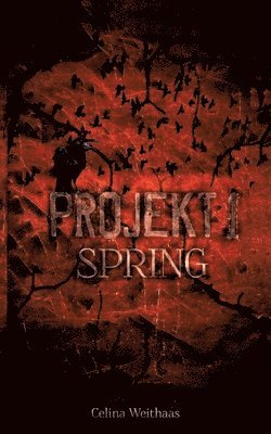 bokomslag Spring - Projekt I