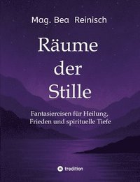 bokomslag Räume der Stille