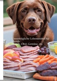 bokomslag Unverträgliche Lebensmittel für Hunde: Fleisch, Obst, Gemüse, etc.