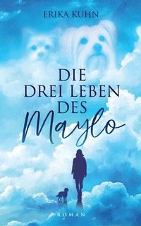 bokomslag drei Leben des Maylo