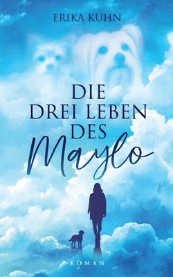 bokomslag drei Leben des Maylo