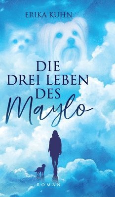 bokomslag drei Leben des Maylo