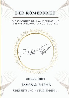 bokomslag Römerbrief (Großschrift)