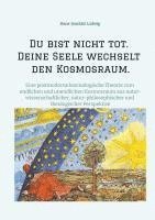 bokomslag Du bist nicht tot. Deine Seele wechselt den Kosmosraum.