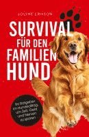 bokomslag Survival fu¿r den Familienhund