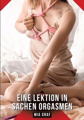 bokomslag Eine Lektion in Sachen Orgasmen