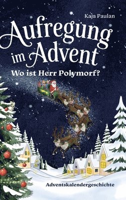 bokomslag Aufregung im Advent