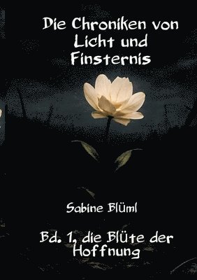 bokomslag Chroniken von Licht und Finsternis