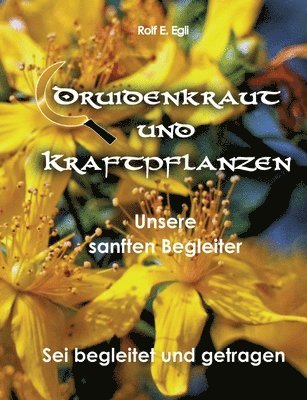 bokomslag Druidenkraut und Kraftpflanzen