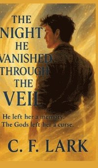 bokomslag night he vanished through the veil