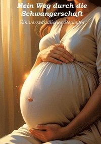 bokomslag Mein Weg durch die Schwangerschaft - Ein verständlicher Begleiter
