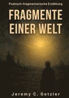 bokomslag Fragmente einer Welt: Eine poetisch-fragmentarische Erzählung über das Ende einer Welt