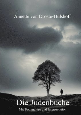 Annette Von Droste-Hülshoff, Annette von Droste-Hülshoff, Annette von Droste-Hülshoff, Alexander Remde - Judenbuche, Häftad