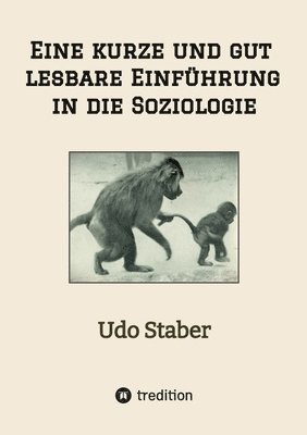 Udo Staber - Eine kurze und gut lesbare Einführung in die Soziologie, Häftad