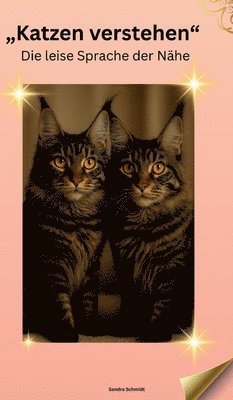 Katzen verstehen:Die leise Sprache der Nähe