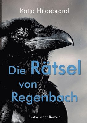 Rätsel von Regenbach