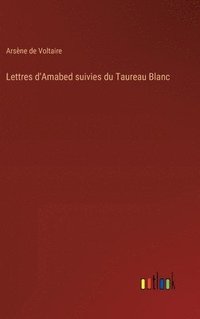 bokomslag Lettres d'Amabed suivies du Taureau Blanc