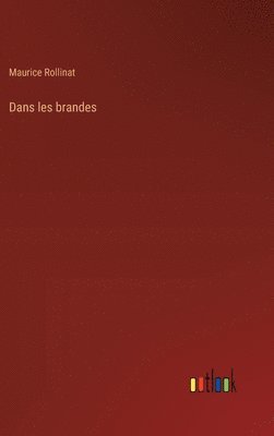 bokomslag Dans les brandes