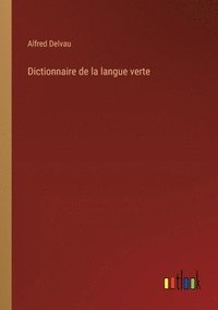 bokomslag Dictionnaire de la langue verte