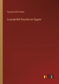 bokomslag propriété foncière en Égypte