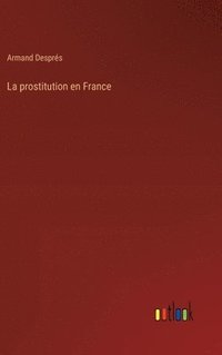 bokomslag La prostitution en France