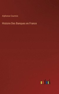 bokomslag Histoire Des Banques en France