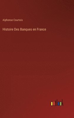 bokomslag Histoire Des Banques en France