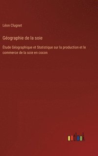 bokomslag Géographie de la soie