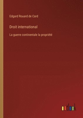 bokomslag Droit international